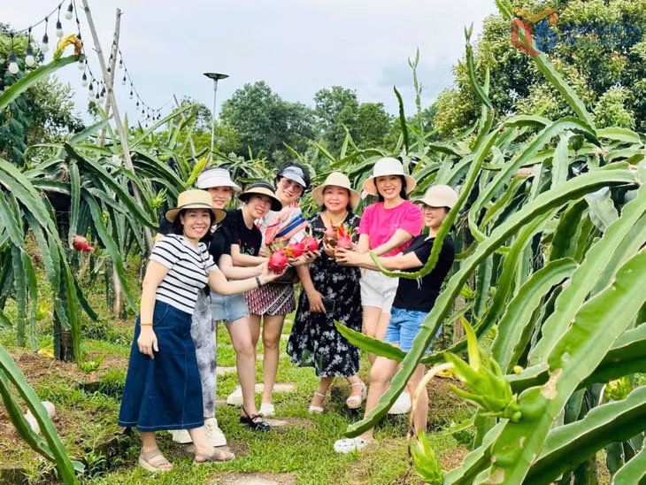 Mô hình du lịch Khe Mai Farm ở Đặc khu Vân Đồn đã tạo điều kiện để người dân địa phương có việc làm, thu nhập.