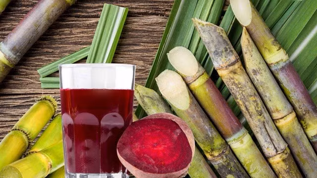 Củ dền nấu với nước mía là thức uống tốt cho máu. Ảnh đồ hoạ: Hương Sơn