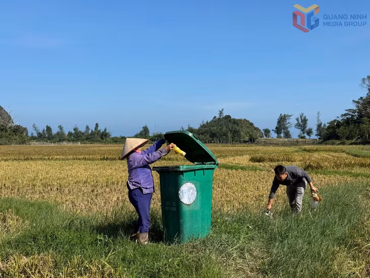 Nông dân đặc khu Cô Tô thu gom vỏ thuốc bao bì bảo vệ thực vật, bảo vệ môi trường.