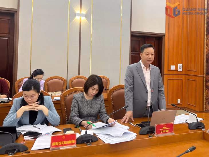Đồng chí Lê Văn Ánh, Phó Chủ tịch UBND tỉnh, phát biểu tại cuộc họp.