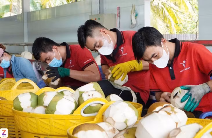Xuất khẩu rau quả sang thị trường Trung Quốc giúp Việt Nam thu về gần 5 tỷ USD. Ảnh: Anh Nguyễn.