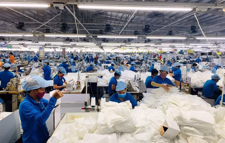 Kim ngạch xuất khẩu toàn ngành ước đạt 46 tỷ USD, tăng khoảng 5% so với năm 2024 - Ảnh minh họa