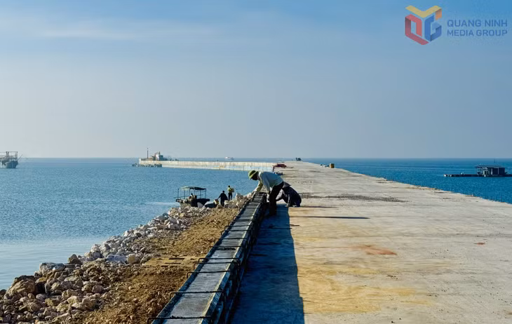 Dự án khu dịch vụ hậu cần nghề cá Vịnh Bắc Bộ trên đảo Cô Tô đang được hoàn thành.