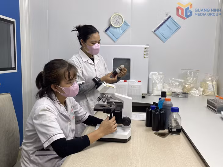 Nghiên cứu khoa học tại Công ty TNHH Nuôi trồng, sản xuất và chế biến dược liệu Đông Bắc.