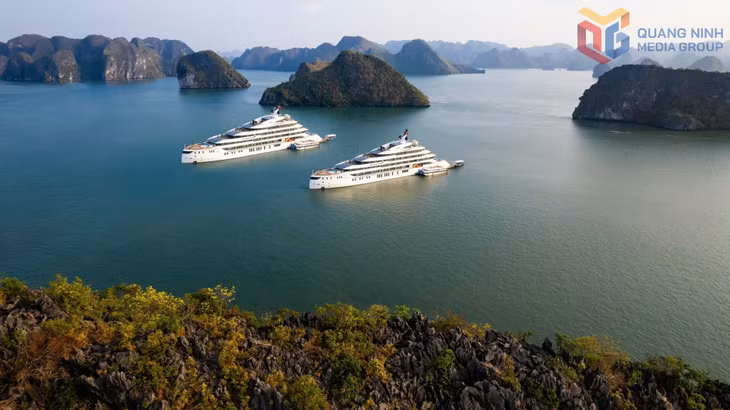 Du thuyền Grand Pioneers của Công ty TNHH Vận tải Việt Thuận triển khai “Hành trình di sản”, kết nối 2 vịnh Hạ Long và Bái Tử Long. 