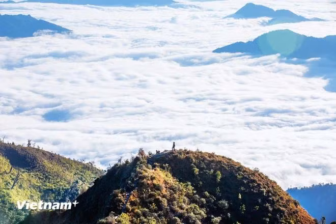 'Biển mây' hiện hữu dưới chân, ngút ngàn tầm mắt khi du khách chinh phục đỉnh Tà Xùa. (Ảnh: PV/Vietnam+)