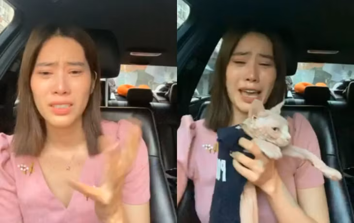 Những phiên livestream của Nam Em khiến showbiz Việt nhốn nháo.
