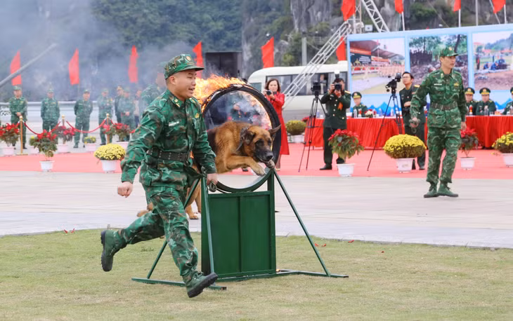 2024-03_Lễ ra quân huấn luyện năm 2024- những chú chó nghiệp vụ biên phòng vượt qua chướng ngại vật. Ảnh: Nguyễn Thanh