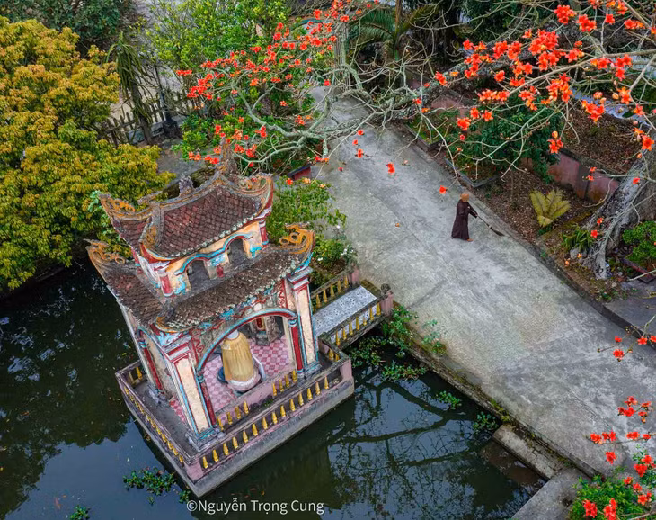 Anh Nguyễn Trọng Cung, một bác sĩ y học cổ truyền, có niềm đam mê nhiếp ảnh đang sống ở Thái Bình, mới đây đã có chuyến ghé thăm và chụp ảnh cây hoa gạo vào mùa trổ bông tại chùa Linh Sơn (xã Đông Phương, huyện Đông Hưng, Thái Bình). Ảnh: Nguyễn Trọng Cung