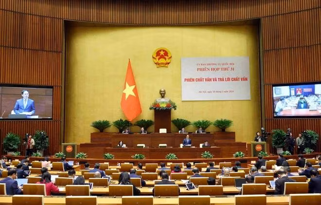 Bộ trưởng Bộ Ngoại giao Bùi Thanh Sơn trả lời chất vấn của đại biểu Quốc hội. (Ảnh: Phạm Kiên/TTXVN)