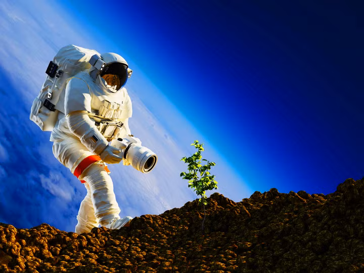 Phi hành gia Chương trình Artemis sẽ mang cây trồng lên Mặt trăng vào năm 2026. (Ảnh: istock)