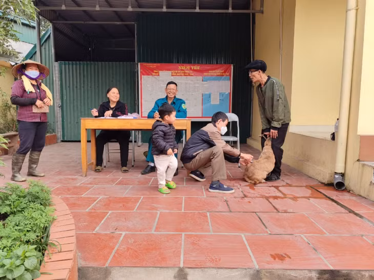TX Quảng Yên quyết tâm tiêm phòng bệnh dại cho đàn chó, mèo nuôi trước khi thời tiết chuyển mùa hè.