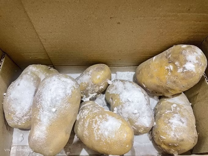 Bảo quản khoai tây trong thùng thùng giấy, với bột baking soda. Ảnh: P.D