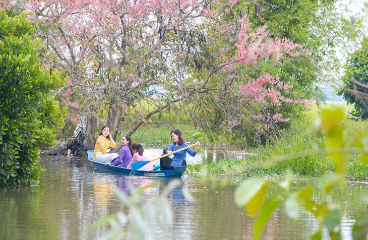 Du khách chèo xuồng, chụp ảnh cùng “anh đào miền Tây”. Ảnh: Thành Lâm