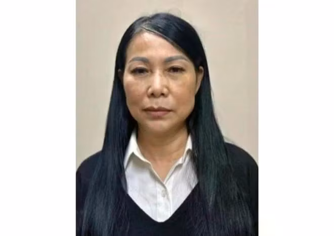 Bà Hoàng Thị Thúy Lan. (Ảnh: TTXVN phát)