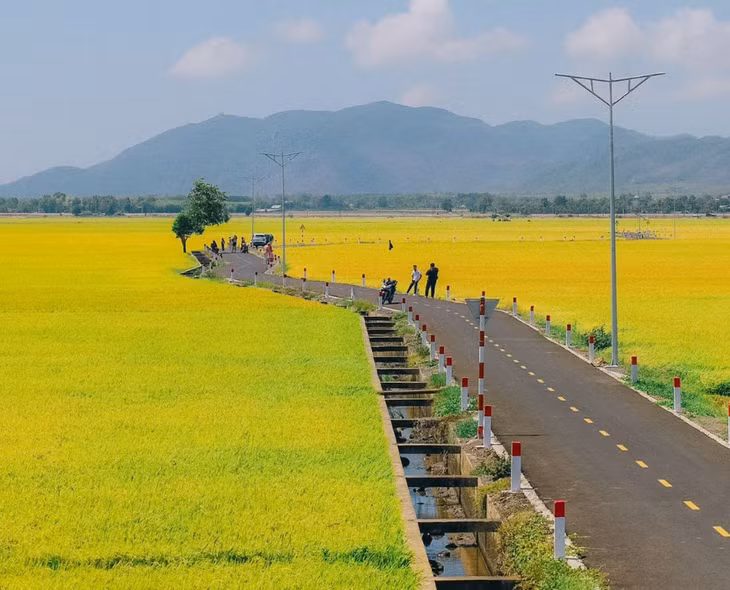 Xã An Nhứt thuộc huyện Long Điền, tỉnh Bà Rịa – Vũng Tàu, cách trung tâm thành phố Bà Rịa chưa đầy 10km. Ảnh: Le Nguyen