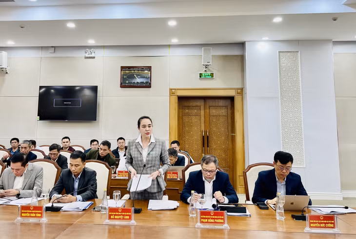 Chủ tịch HĐTV Tổng công ty Điện lực miền Bắc Đỗ Nguyệt Ánh báo cáo về tiến độ triển khai các dự án lưới điện trọng điểm trên địa bàn tỉnh.
