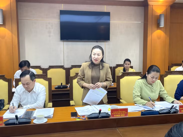 Đồng chí Vi Ngọc Bích, Phó Chủ tịch Thường trực HĐND tỉnh phát biểu tại buổi làm việc.