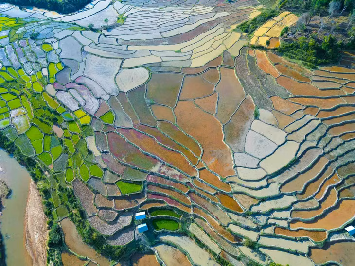 “Điểm nhấn” của làng Kon Vơng Kia còn là dòng suối Nước Long uốn lượn giữa cánh đồng, cung cấp nước cho những thửa ruộng bậc thang. Khi đến Kon Vơng Kia, du khách có thể check-in tại những chiếc cầu treo nối liền những xóm nhà, trekking khám phá núi rừng Măng Đen hay tìm hiểu, trải nghiệm cuộc sống của người dân địa phương. Ảnh: Luân Lavender