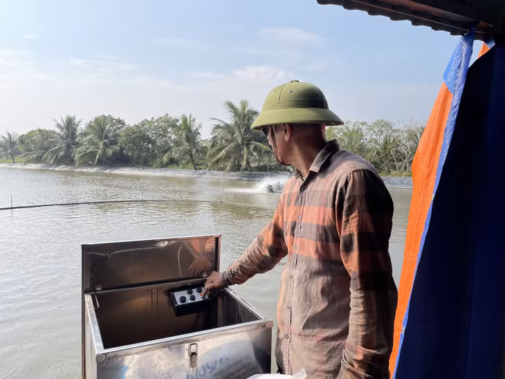 Nhờ mạnh dạn vay vốn và chịu khó học hỏi, anh Đinh Văn Chiến (phường Nam Hòa, TX Quảng Yên) đã triển khai hiệu quả mô hình nuôi cá trắm đen.