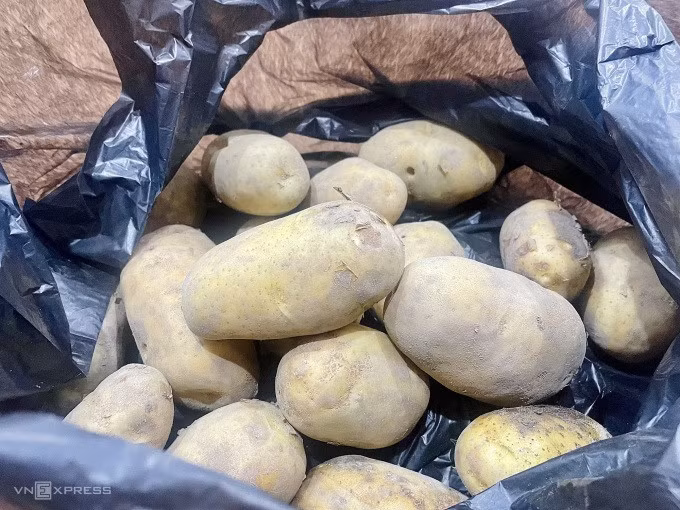 Bảo quản trong túi đen ngăn khoai tây mọc mầm hiệu quả. Ảnh: P.D
