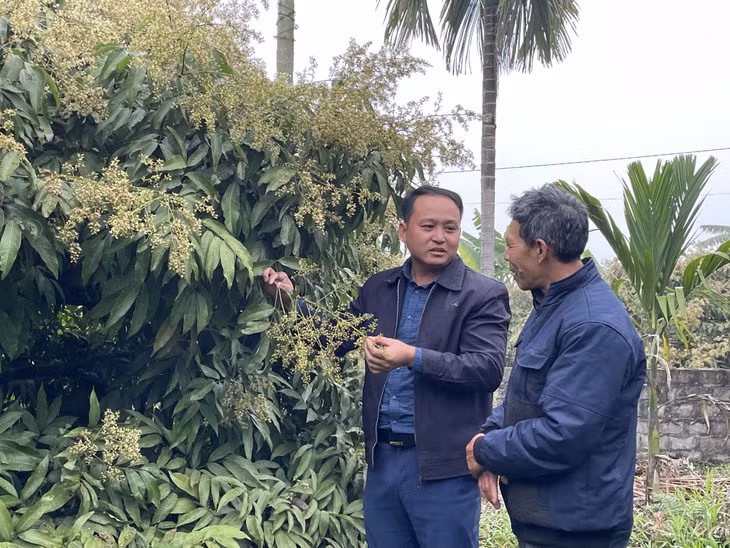 Ông Phạm Văn Trị (phường Phương Nam, TP Uông Bí) (bên phải) trao đổi với cán bộ HND xã.