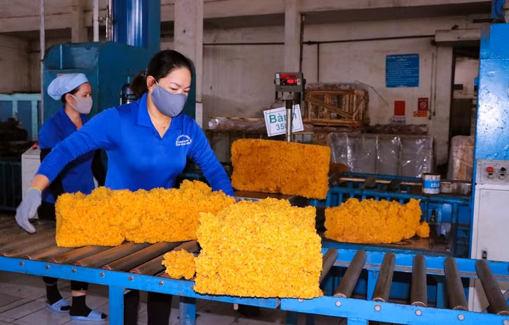 Việt Nam là thị trường ngoài khối cung cấp cao su lớn thứ 12 cho EU ảnh 1