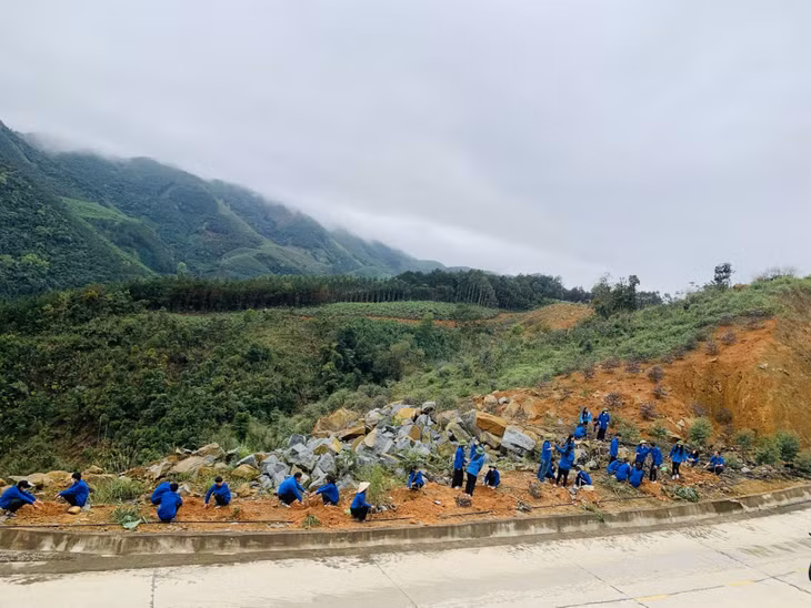 Tuổi trẻ Tiên Yên trồng đào tại xã Đại Dực (huyện Tiên Yên).