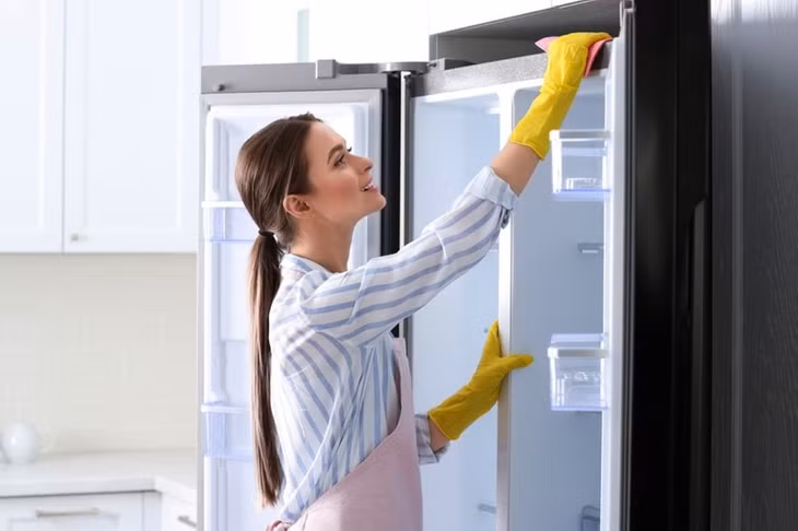 Bạn nên vệ sinh toàn bộ tủ lạnh từ 3 đến 4 tháng một lần (Ảnh: Internet)