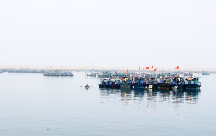 Khu neo đậu tránh, trú bão cấp vùng được đầu tư đồng bộ, hiện đại trên huyện đảo Cô Tô.