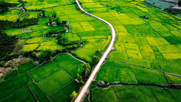 Ngoài Đăk Hà và Măng Đen, du khách đến với Kon Tum có thể ghé thăm ngã ba biên giới ba nước Việt Nam – Lào – Campuchia (còn gọi là Ngã ba Đông Dương, thuộc khu vực cửa khẩu quốc tế Bờ Y), núi Ngọc Linh và vườn quốc gia Chư Mom Ray. Ảnh: Đô Đô