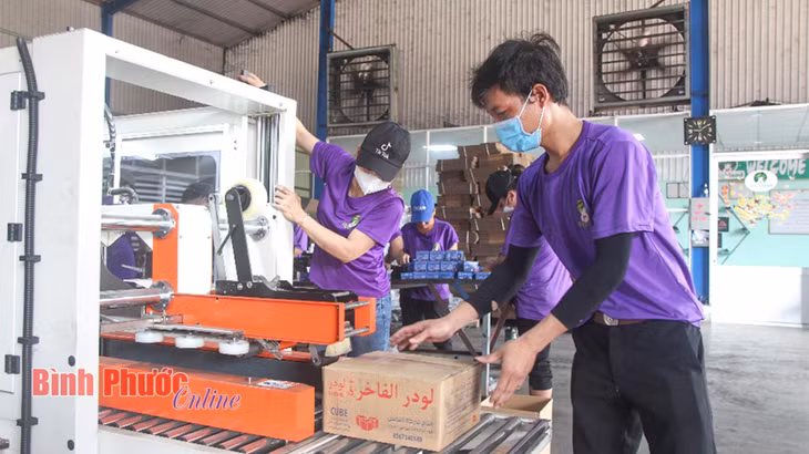 Sản xuất than gáo dừa ở Công ty TNHH xuất nhập khẩu Cao Nguyên, huyện Đồng Phú