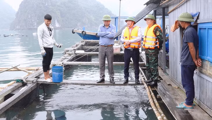 Lãnh đạo huyện Vân Đồn kiểm tra việc giữ gìn vệ sinh môi trường của các cơ sở nuôi trồng thủy sản.
