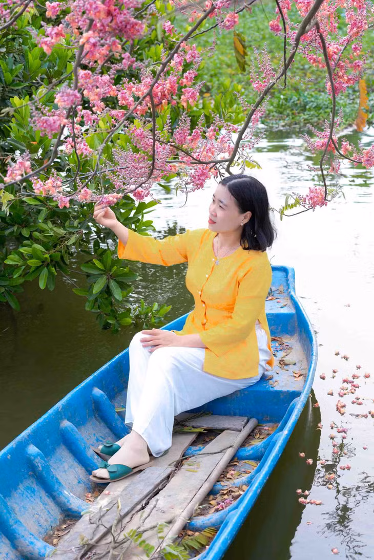 Hoa ô môi khi nở kết thành từng chùm, phủ đầy nhánh cây. Ảnh: Thành Lâm