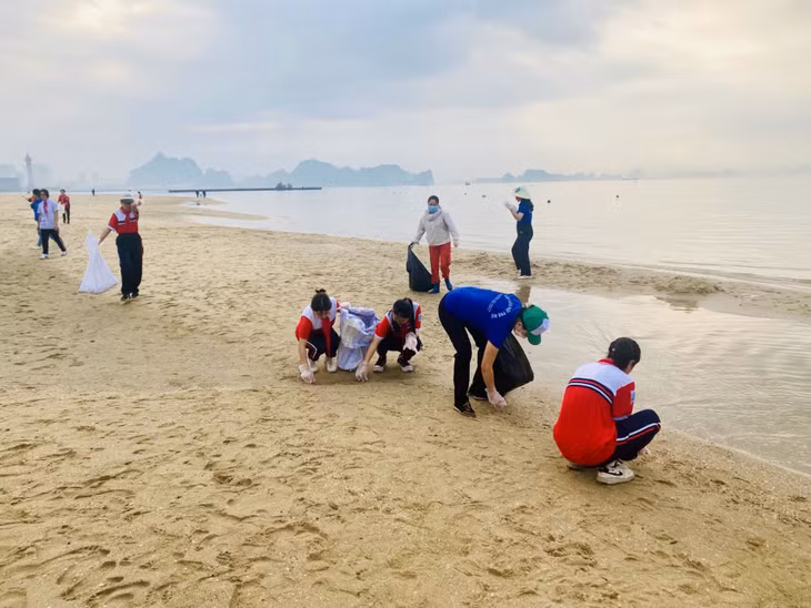 Người dân TP Hạ Long ra quân làm sạch các bãi tắm.