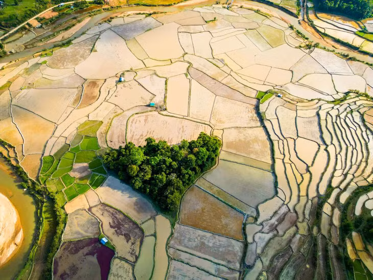 Làng Kon Vơng Kia nằm giữa thung lũng, bao quanh là đồi núi nhấp nhô, hùng vĩ và những thửa ruộng bậc thang. Tại đây, xóm làng thường nằm rải rác dưới chân đồi hoặc xen kẽ giữa cánh đồng. Ảnh: Luân Lavender