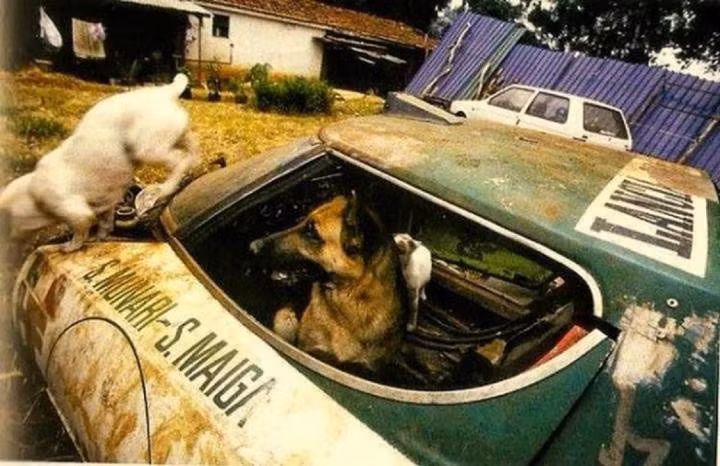 (Ảnh: Hotcars)