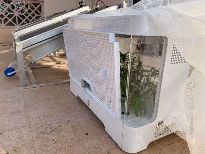 Hệ thống thử nghiệm gồm hai tấm pin mặt trời và hộp trồng cây. Ảnh: Renyuan Li