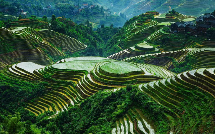 Những thửa ruộng bậc thang ở Banaue, Philippines