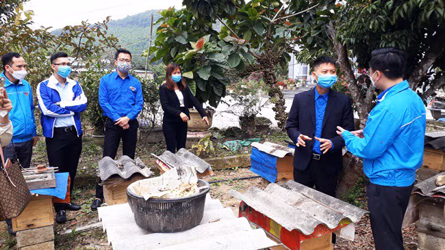 Tỉnh Đoàn Quảng Ninh thăm mô hình HTX sản xuất, kinh doanh dịch vụ tổng hợp và nông nghiệp do thanh niên làm chủ tại xã Dương Huy, TP Cẩm Phả.