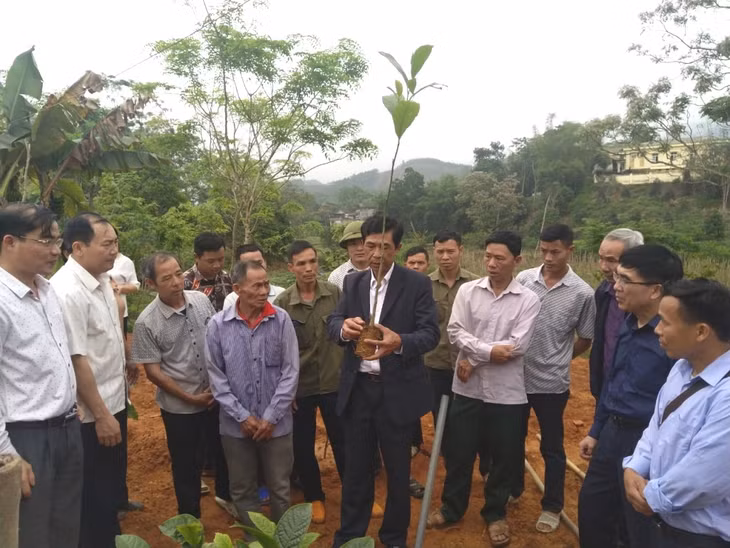 HND huyện Ba Chẽ tập huấn trồng rừng gỗ lớn cho hội viên, nông dân xã Đồn Đạc, tháng 3/2021.