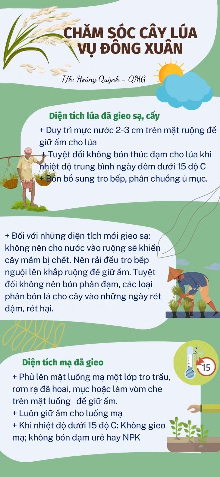 Hứa hẹn mùa vàng bội thu ảnh 3