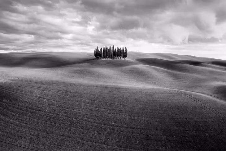 Phong cảnh với cây cối ở San Quirico d’orcia, Tuscany, Italia. Giải vàng ở hạng mục “Nghệ thuật thiên nhiên”. (Ảnh: Federico Testicia)