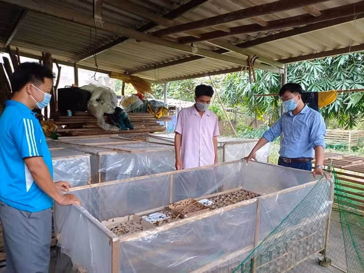 Anh Hoàng Việt Tùng, Bí thư Huyện Đoàn (bên phải) thăm mô hình nuôi dế của đoàn viên Phoòng A Si (bên trái), thôn Nà Cà, xã Phong Dụ.