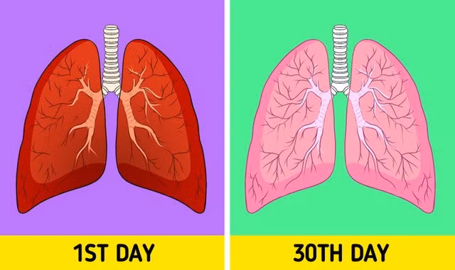 7 phương pháp thải độc phổi ngay tại nhà mà không cần dùng thuốc - Ảnh 1.
