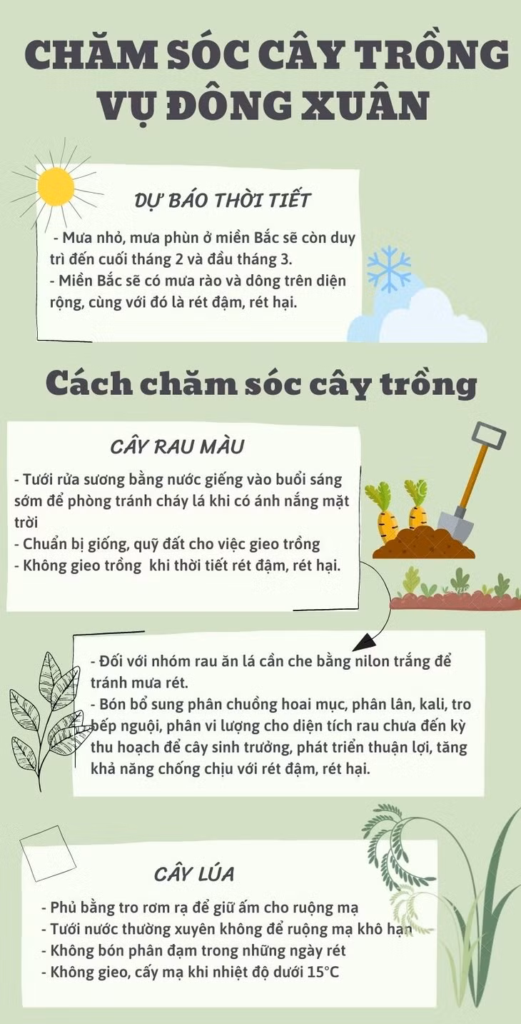 Chủ động sản xuất vụ Đông Xuân ảnh 3