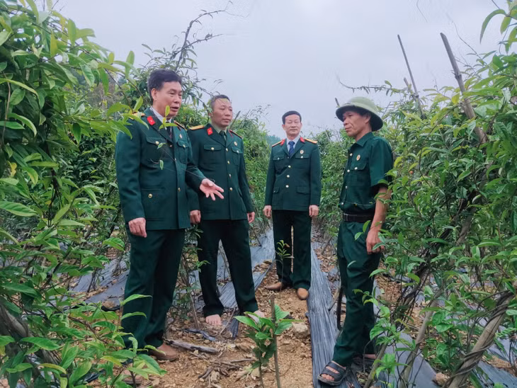 Hội CCB huyện Ba Chẽ và các xã, thị trấn tham quan, học tập mô hình trồng ba kích tím của CBB Lý Văn Hếnh (thôn Nam Hả Trong, xã Nam Sơn), tháng 12/2021.