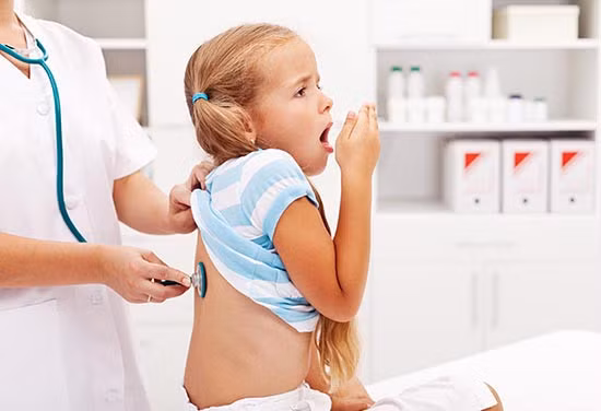 Các triệu chứng của viêm phế quản là sốt nhẹ, ho khan, hắt hơi...