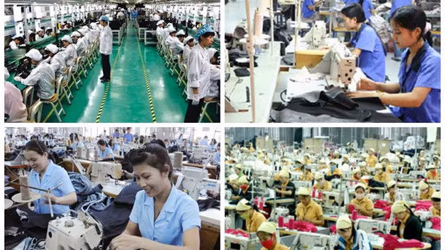 Người lao động có trách nhiệm cung cấp thông tin về tình hình lao động, việc làm kịp thời, đầy đủ cho người trực tiếp thực hiện thu thập thông tin