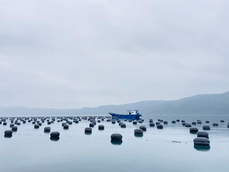 NTTS ở khu vực xã Bản Sen (huyện Vân Đồn).